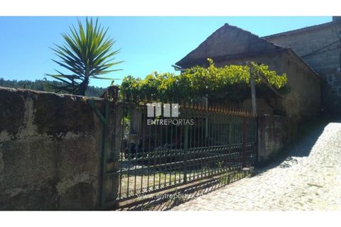 Helårsgrund i Souselo, Viseu, Souselo - € 82.000 | Ref: MC09005 - foto 29