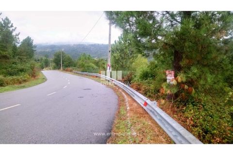 Helårsgrund i Amarante, Porto, Amarante - € 110.000 | Ref: MC09020 - foto 7