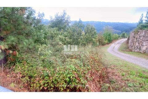 Helårsgrund i Amarante, Porto, Amarante - € 110.000 | Ref: MC09020 - foto 8