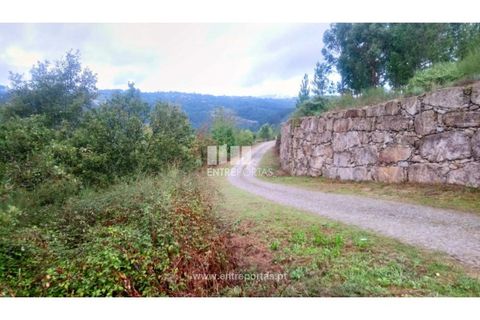 Helårsgrund i Amarante, Porto, Amarante - € 110.000 | Ref: MC09020 - foto 9