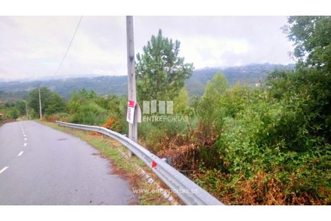 Helårsgrund i Amarante, Porto, Amarante - € 110.000 | Ref: MC09020 - foto 10