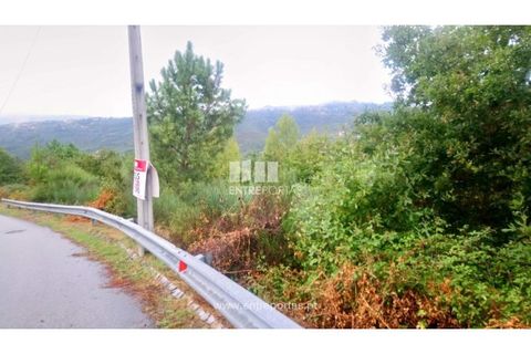 Helårsgrund i Amarante, Porto, Amarante - € 110.000 | Ref: MC09020 - foto 11