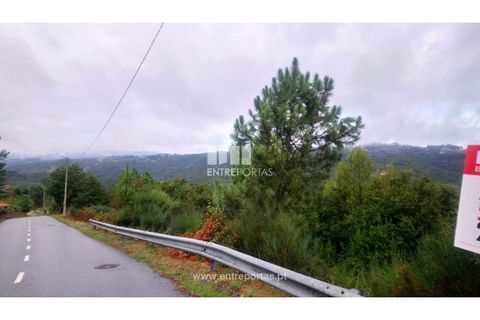 Helårsgrund i Amarante, Porto, Amarante - € 110.000 | Ref: MC09020 - foto 12