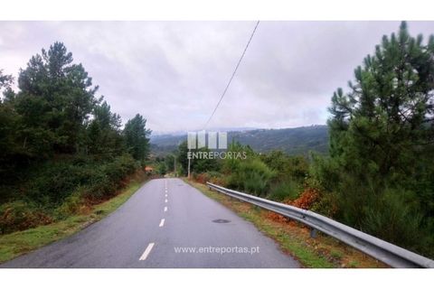 Helårsgrund i Amarante, Porto, Amarante - € 110.000 | Ref: MC09020 - foto 13