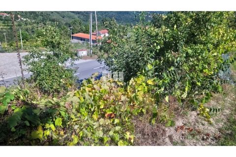 Helårsgrund i Amarante, Porto, Amarante - € 110.000 | Ref: MC09020 - foto 16