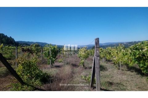 Helårsgrund i Amarante, Porto, Amarante - € 110.000 | Ref: MC09020 - foto 17