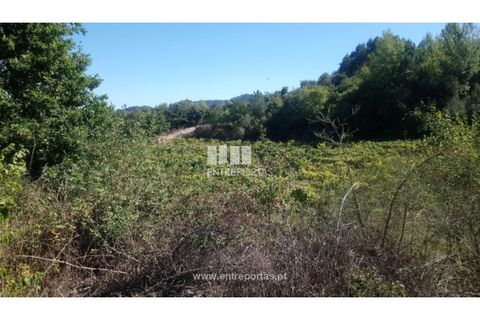 Helårsgrund i Amarante, Porto, Amarante - € 110.000 | Ref: MC09020 - foto 19
