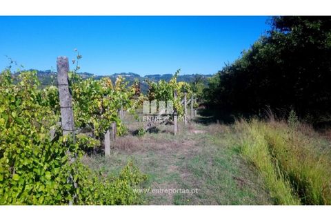 Helårsgrund i Amarante, Porto, Amarante - € 110.000 | Ref: MC09020 - foto 20