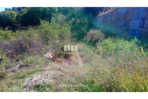 Helårsgrund i Amarante, Porto, Amarante - € 110.000 | Ref: MC09020 - foto 21