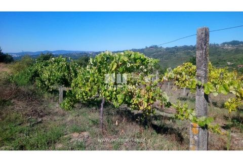Helårsgrund i Amarante, Porto, Amarante - € 110.000 | Ref: MC09020 - foto 22
