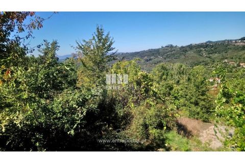 Helårsgrund i Amarante, Porto, Amarante - € 110.000 | Ref: MC09020 - foto 25