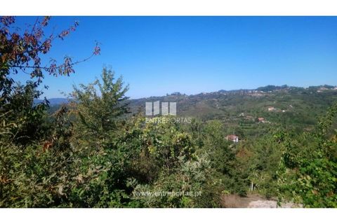 Helårsgrund i Amarante, Porto, Amarante - € 110.000 | Ref: MC09020 - foto 26