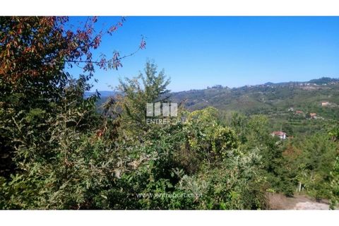 Helårsgrund i Amarante, Porto, Amarante - € 110.000 | Ref: MC09020 - foto 27