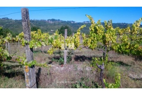 Helårsgrund i Amarante, Porto, Amarante - € 110.000 | Ref: MC09020 - foto 30