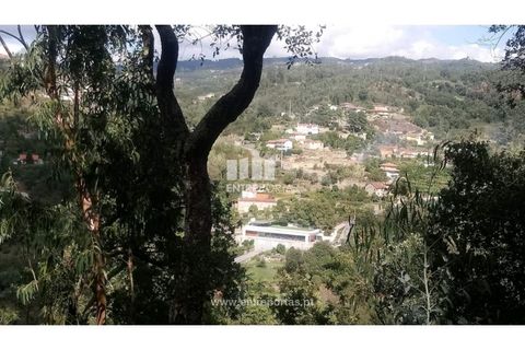 Tomt i Cinfaes, Viseu, Cinfaes - € 55 000 | Ref: MC09021 - foto 2