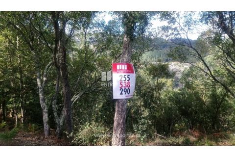 Tomt i Cinfaes, Viseu, Cinfaes - € 55 000 | Ref: MC09021 - foto 3