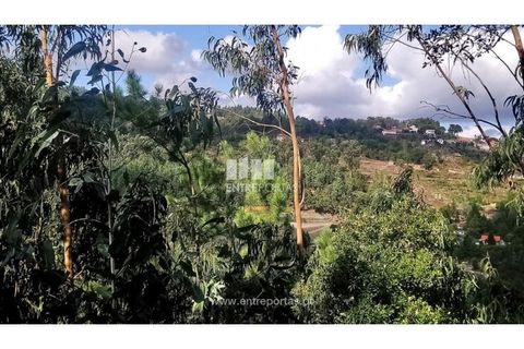 Tomt i Cinfaes, Viseu, Cinfaes - € 55 000 | Ref: MC09021 - foto 6