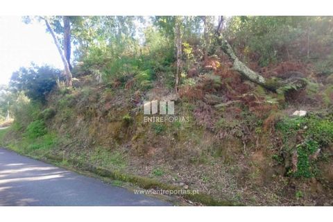 Tomt i Cinfaes, Viseu, Cinfaes - € 55 000 | Ref: MC09021 - foto 18
