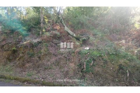 Tomt i Cinfaes, Viseu, Cinfaes - € 55 000 | Ref: MC09021 - foto 19
