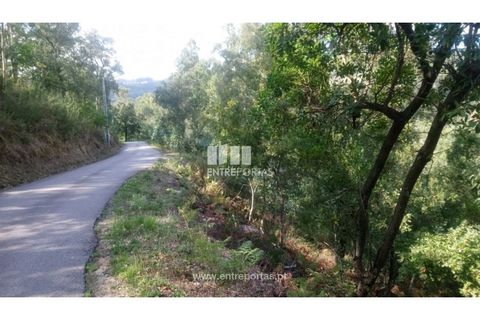 Tomt i Cinfaes, Viseu, Cinfaes - € 55 000 | Ref: MC09021 - foto 20