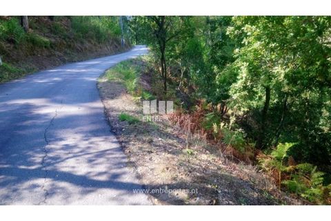 Tomt i Cinfaes, Viseu, Cinfaes - € 55 000 | Ref: MC09021 - foto 21