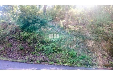 Tomt i Cinfaes, Viseu, Cinfaes - € 55 000 | Ref: MC09021 - foto 25