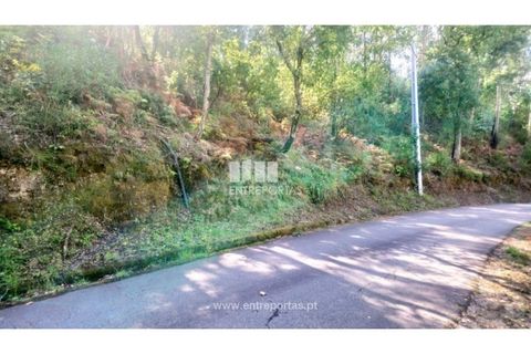 Tomt i Cinfaes, Viseu, Cinfaes - € 55 000 | Ref: MC09021 - foto 26