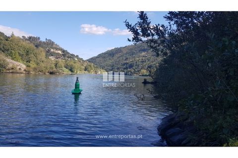 Tomt i Cinfaes, Viseu, Cinfaes - € 55 000 | Ref: MC09021 - foto 31
