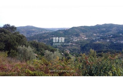 Helårsgrund i Ancede e Ribadouro, Porto, Ancede e Ribadouro - € 60.000 | Ref: MC09023 - foto 1
