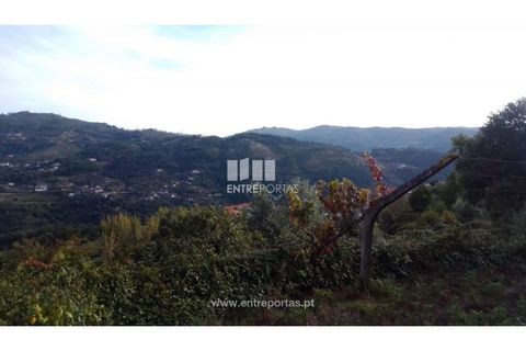 Helårsgrund i Ancede e Ribadouro, Porto, Ancede e Ribadouro - € 60.000 | Ref: MC09023 - foto 2