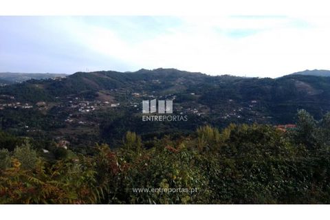 Helårsgrund i Ancede e Ribadouro, Porto, Ancede e Ribadouro - € 60.000 | Ref: MC09023 - foto 3