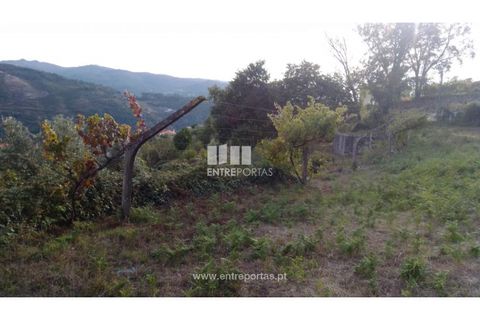 Helårsgrund i Ancede e Ribadouro, Porto, Ancede e Ribadouro - € 60.000 | Ref: MC09023 - foto 4