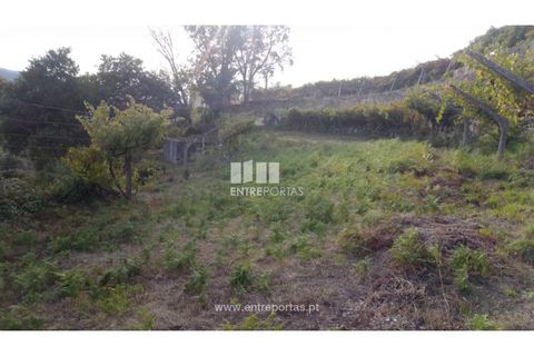 Helårsgrund i Ancede e Ribadouro, Porto, Ancede e Ribadouro - € 60.000 | Ref: MC09023 - foto 5