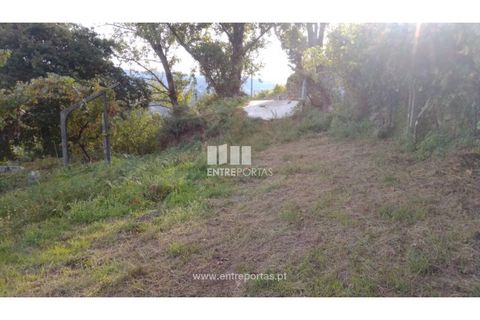 Helårsgrund i Ancede e Ribadouro, Porto, Ancede e Ribadouro - € 60.000 | Ref: MC09023 - foto 6
