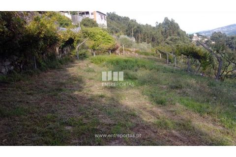 Helårsgrund i Ancede e Ribadouro, Porto, Ancede e Ribadouro - € 60.000 | Ref: MC09023 - foto 7