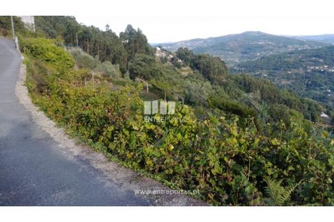 Helårsgrund i Ancede e Ribadouro, Porto, Ancede e Ribadouro - € 60.000 | Ref: MC09023 - foto 9