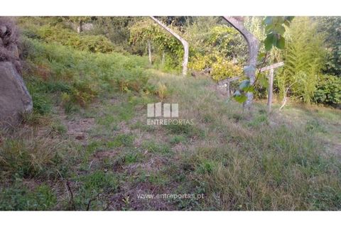 Helårsgrund i Ancede e Ribadouro, Porto, Ancede e Ribadouro - € 60.000 | Ref: MC09023 - foto 10