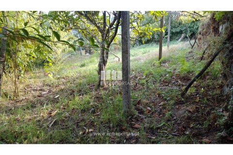 Helårsgrund i Ancede e Ribadouro, Porto, Ancede e Ribadouro - € 60.000 | Ref: MC09023 - foto 11