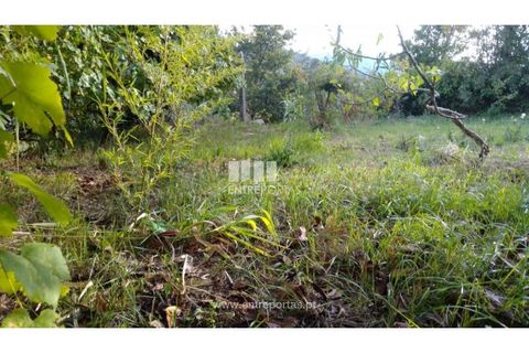 Helårsgrund i Ancede e Ribadouro, Porto, Ancede e Ribadouro - € 60.000 | Ref: MC09023 - foto 12