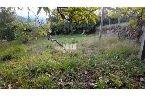 Helårsgrund i Ancede e Ribadouro, Porto, Ancede e Ribadouro - € 60.000 | Ref: MC09023 - foto 13