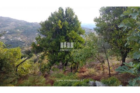 Helårsgrund i Ancede e Ribadouro, Porto, Ancede e Ribadouro - € 60.000 | Ref: MC09023 - foto 14