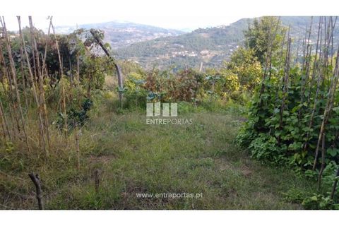 Helårsgrund i Ancede e Ribadouro, Porto, Ancede e Ribadouro - € 60.000 | Ref: MC09023 - foto 15