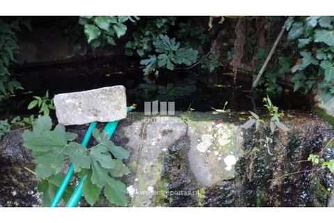 Helårsgrund i Ancede e Ribadouro, Porto, Ancede e Ribadouro - € 60.000 | Ref: MC09023 - foto 16