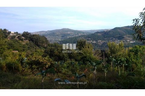 Helårsgrund i Ancede e Ribadouro, Porto, Ancede e Ribadouro - € 60.000 | Ref: MC09023 - foto 17