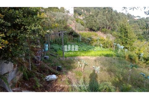 Helårsgrund i Ancede e Ribadouro, Porto, Ancede e Ribadouro - € 60.000 | Ref: MC09023 - foto 18