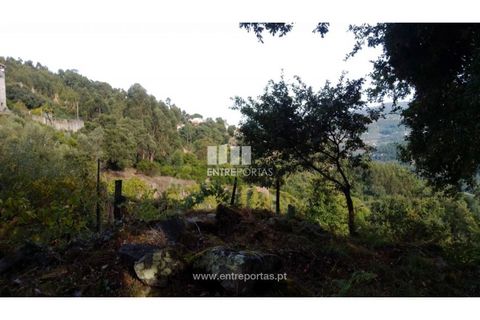 Helårsgrund i Ancede e Ribadouro, Porto, Ancede e Ribadouro - € 60.000 | Ref: MC09023 - foto 19