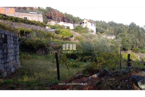 Helårsgrund i Ancede e Ribadouro, Porto, Ancede e Ribadouro - € 60.000 | Ref: MC09023 - foto 20