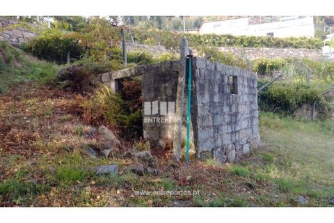 Helårsgrund i Ancede e Ribadouro, Porto, Ancede e Ribadouro - € 60.000 | Ref: MC09023 - foto 21
