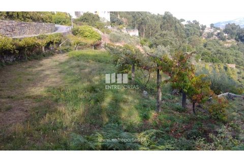 Helårsgrund i Ancede e Ribadouro, Porto, Ancede e Ribadouro - € 60.000 | Ref: MC09023 - foto 22