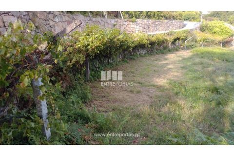 Helårsgrund i Ancede e Ribadouro, Porto, Ancede e Ribadouro - € 60.000 | Ref: MC09023 - foto 23